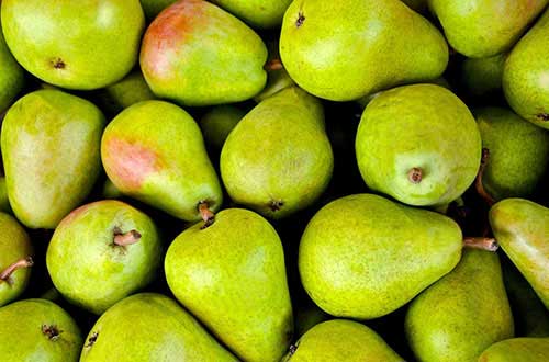 Peren